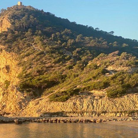 Benidorm Bulletin Issue 56  ·  19 April 2026